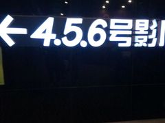 -汉阳天河电影城(王家湾店)