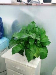 -悟空祛痘·亚健康皮肤管理中心