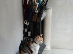 -Again Coffee Roaster(香蜜湖店)