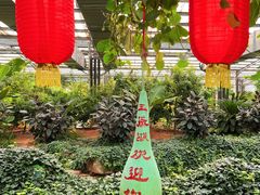 -淄博花灯齐彩城