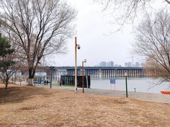 -长白岛森林公园