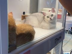 -大桶大足浴(宝山店)