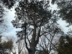 -颐和园