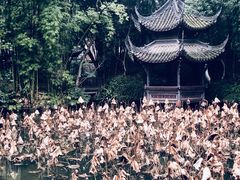 -三苏祠