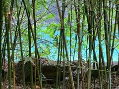 -五月罗马海鲜烤肉自助餐厅(印象城店)