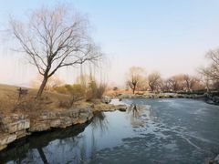 -北京西山国家森林公园