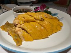 白切鸡-9家湘菜(上南路店)