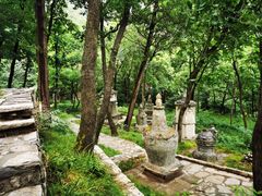 -北京上方山国家森林公园
