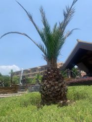 -苏州阳澄湖澜廷酒店·宴会厅