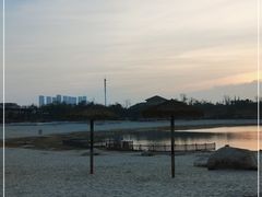 -九龙湖公园