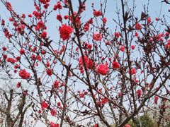 -汉长安城未央宫国家考古遗址公园