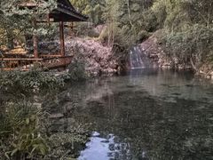 -仙店农庄(湖景农庄餐厅)