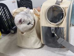 -佳雯宠物医院·皮肤科·内外科(春晓路分院)