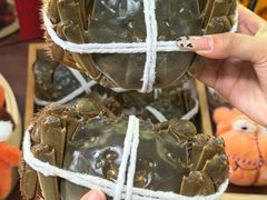 -黄记大闸蟹专卖店·活蟹·醉蟹