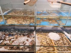 水产区-争鲜·鲍鱼鸡煲(美邻中心店)