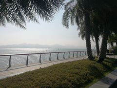 -深圳湾公园(南山区)