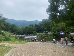 -广州市石门国家森林公园
