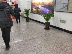 -东中街(地铁站)