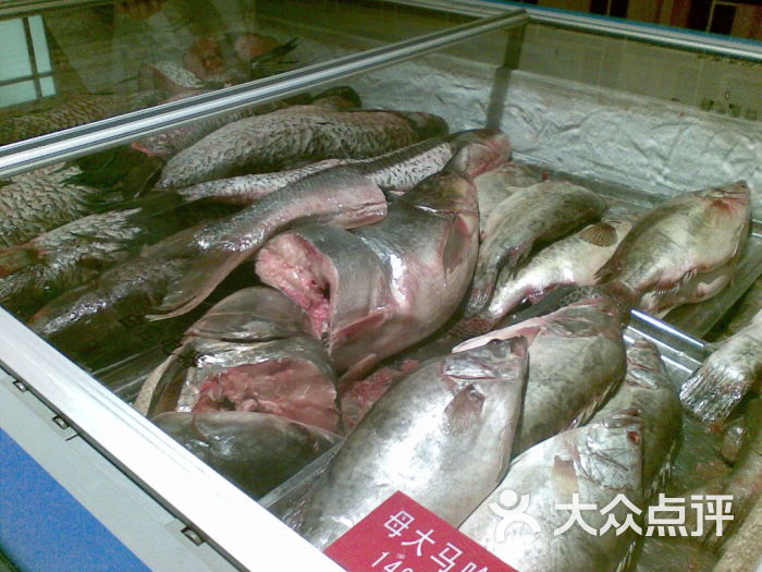 雪中鲜--冰柜中的鱼