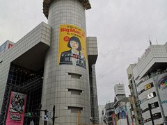 -涩谷区