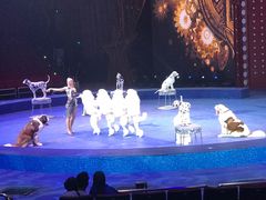 -珠海横琴长隆《卡卡虎奇遇记》