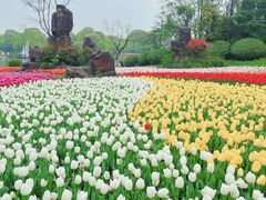 -上海鲜花港