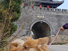 -虞山风景区