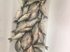 -乡乐园蟹庄·阳澄湖农家乐