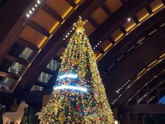 -三亚湾海居铂尔曼度假酒店