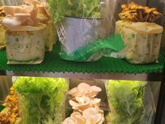 -烹然四季椰子鸡火锅(姚家园万象汇店)