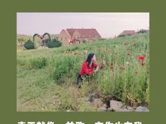 -大塘金香草谷