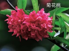 -中山公园