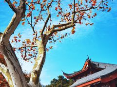 -浙江省博物馆(孤山馆区)