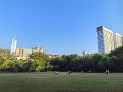-东风公园