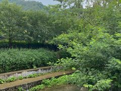 -东天目山风景区