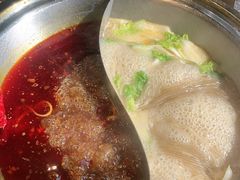 -0048鲜活香辣虾·火锅(铜陵路店)
