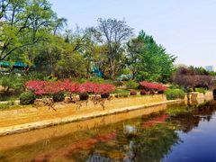 -元大都城垣遗址公园