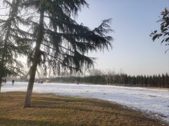 -汉长安城未央宫国家考古遗址公园