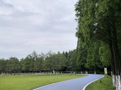 -宜兴龙背山森林公园