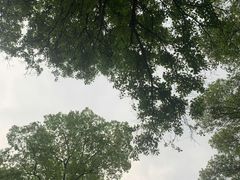 -南华禅寺