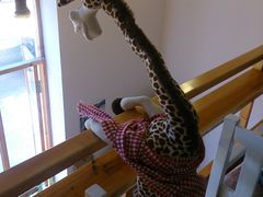 -长颈鹿咖啡(大学路店)