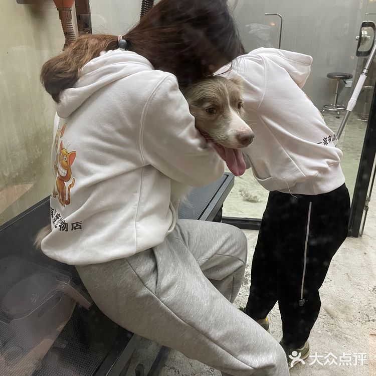 小佩真的是一家非常有爱的宠物洗护店呀～