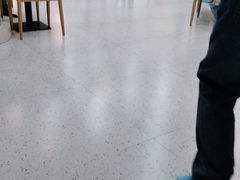 大堂-喵园·猫主题咖啡厅·撸猫·猫咖(国贸店)