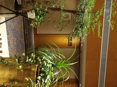 -无锡日航饭店