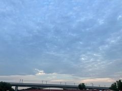 -绝城芋儿鸡(犀浦旗舰店)