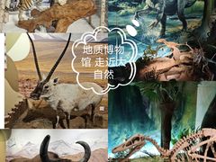 -中国地质博物馆