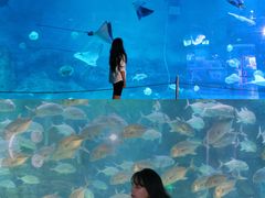 -烟台海昌鲸鲨海洋公园