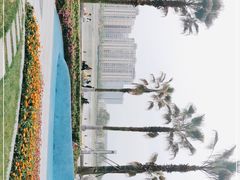 -金沙湖公园