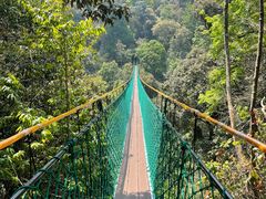 -云南屏边大围山国家公园