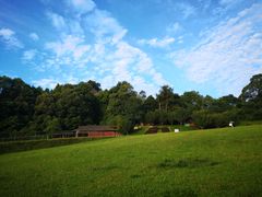 -窦圌山风景区